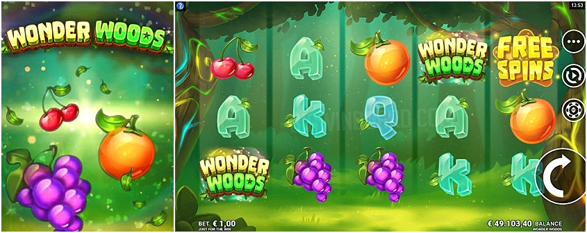 Wonder Woods สล็อต MICROGAMING เว็บตรง Jack888win